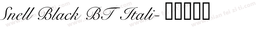 Snell Black BT Itali字体转换